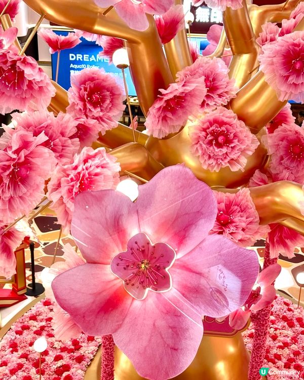 想今年桃花朵朵開？美麗華巨桃樹打卡位！🌸✨