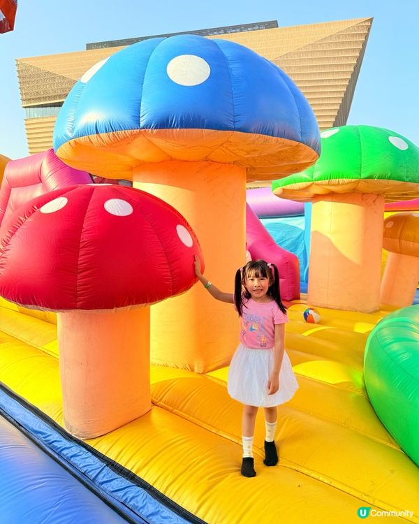 🔥The Big Bounce今年強勢回彈🔥