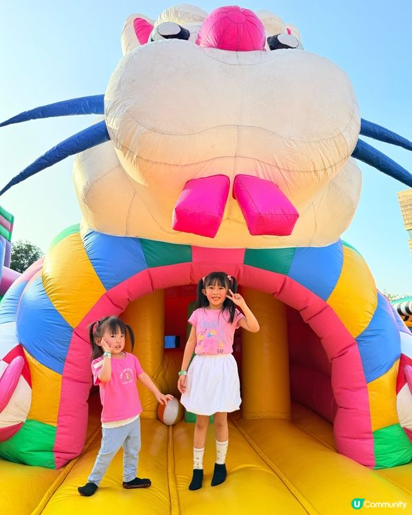 🔥The Big Bounce今年強勢回彈🔥