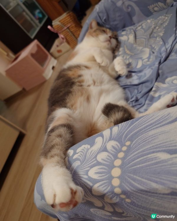 我個乖女瞓覺瞓得幾開放🤣🤣🤣