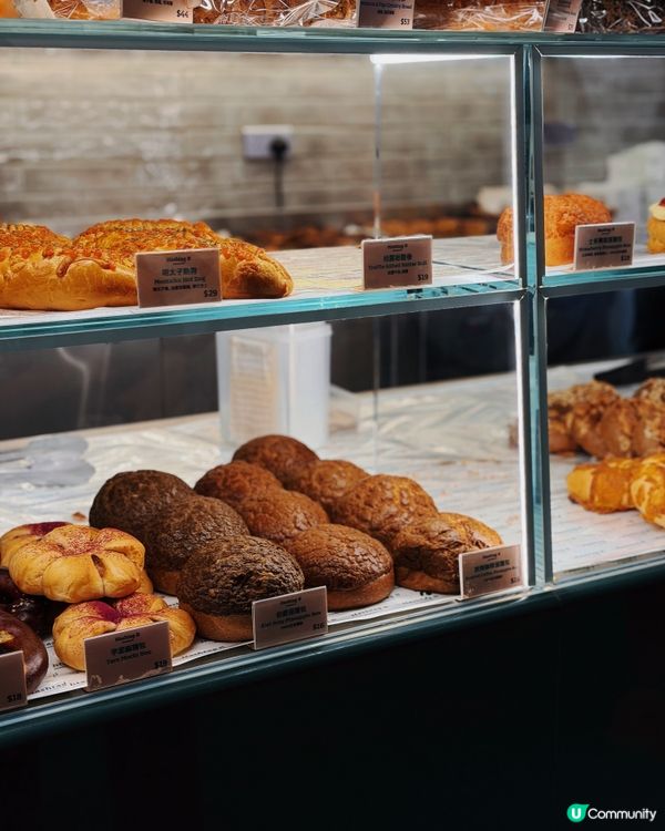 香港必式的蛋撻店！