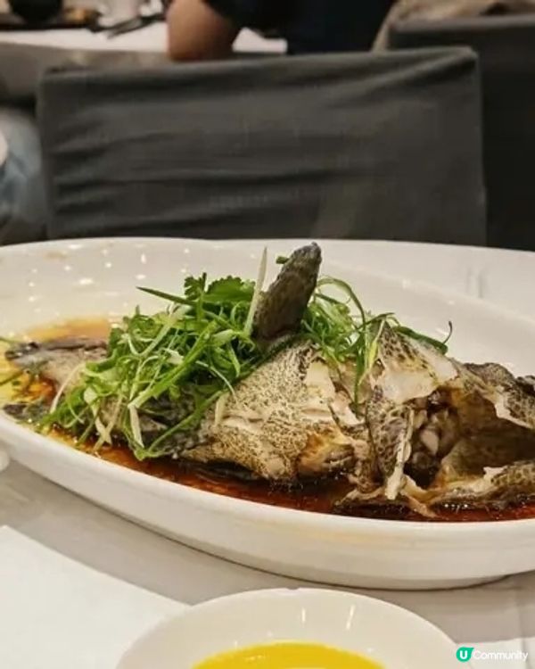 🍲 天后街坊風味 · 中華小館