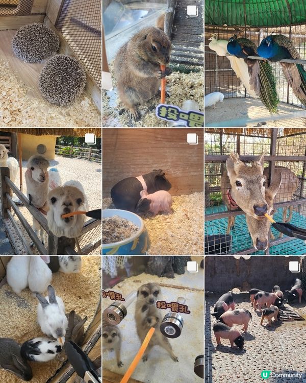 珠海海泉灣｜親子度假放鬆之選