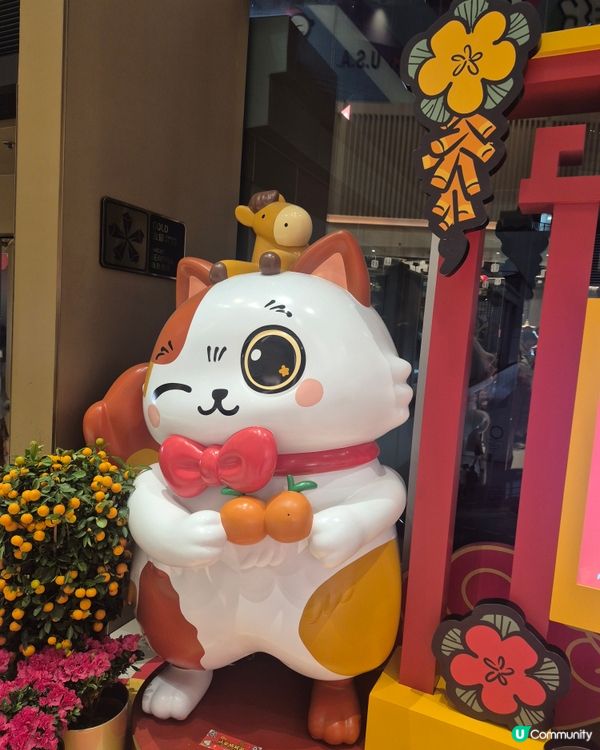 如心廣場 - 喵來福到開運祭 （🐱🐱保守你😝）