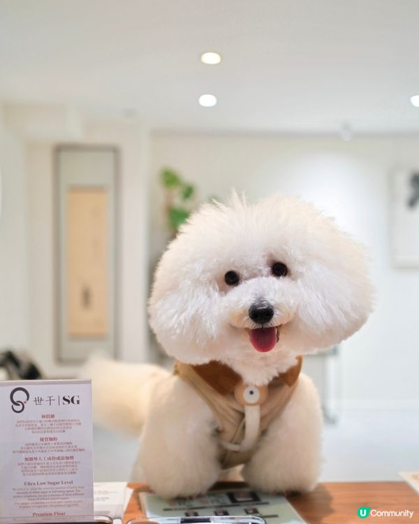 街頭尋到寶！天后隱世日系蛋卷 🎁✨