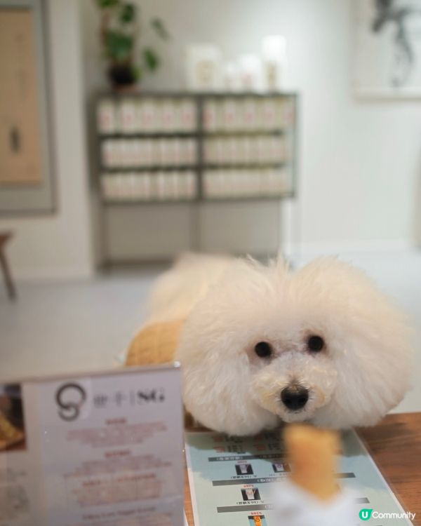 街頭尋到寶！天后隱世日系蛋卷 🎁✨