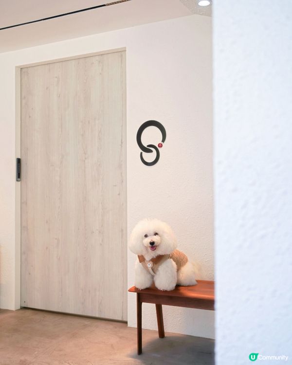 街頭尋到寶！天后隱世日系蛋卷 🎁✨