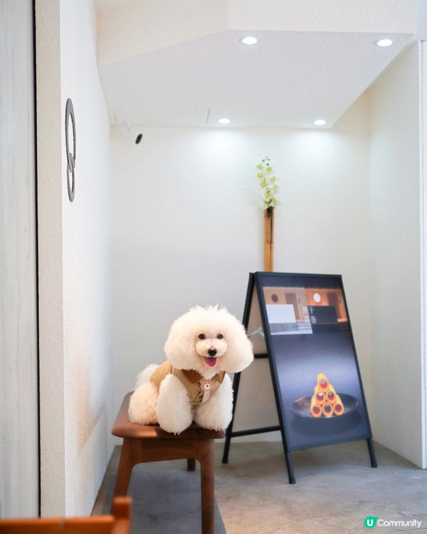 街頭尋到寶！天后隱世日系蛋卷 🎁✨