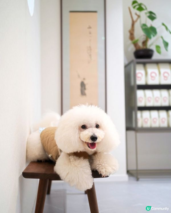 街頭尋到寶！天后隱世日系蛋卷 🎁✨