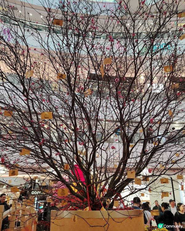 情人節節目推介