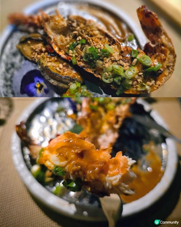 超抵的omakasae🦞