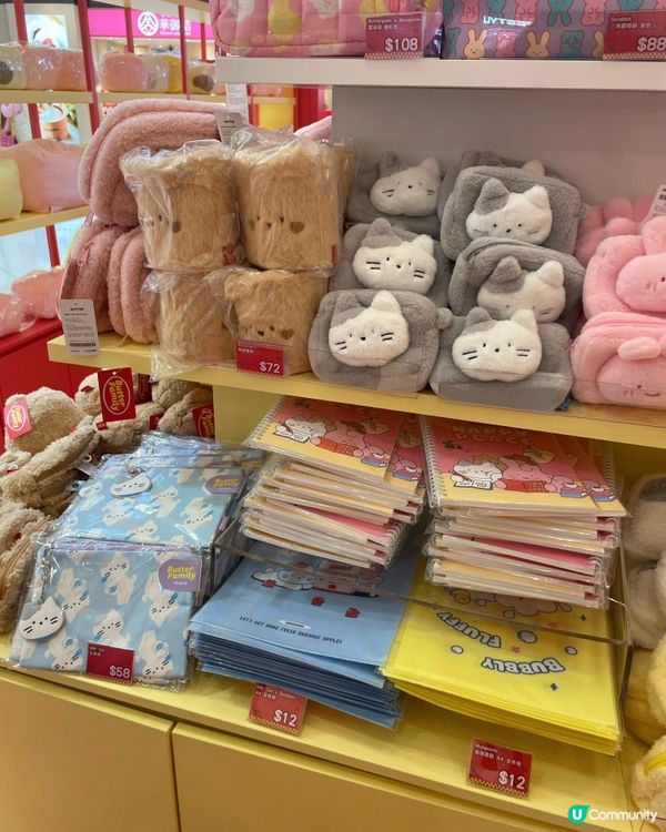 🇭🇰韓國大熱文創可愛公仔🧸🩵登陸香港圍方✨