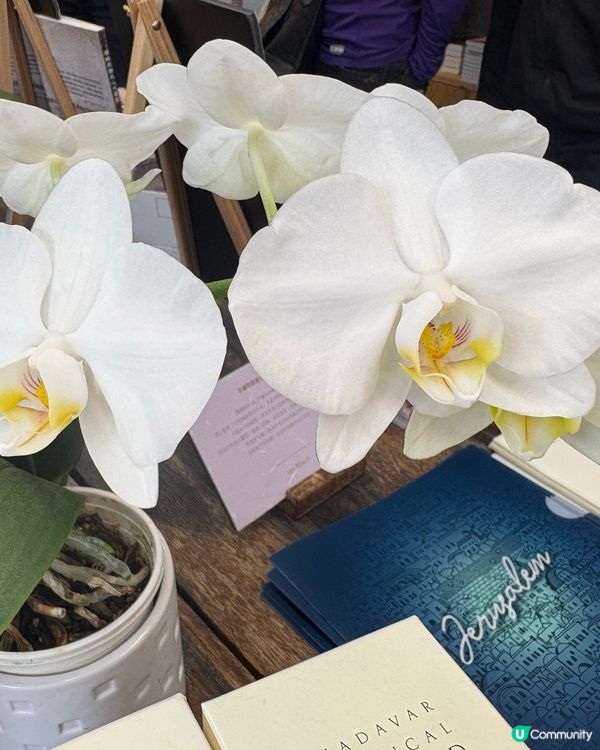 #中環, 因為這裏有好多小食街,行去上環更多又便宜又好吃的美...