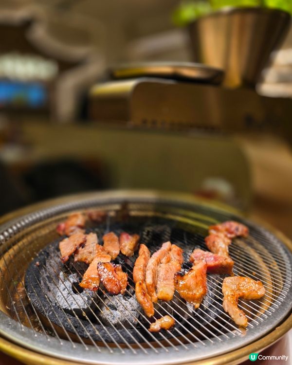 ［深圳美食］ 2026新年聚餐🧧🪭🏮🎈