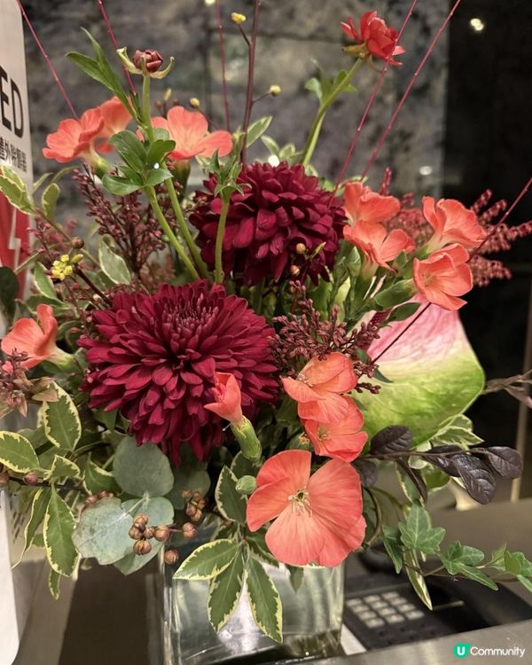 🌺🌺Say Hi to February🌺🌺
