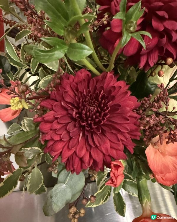 🌺🌺Say Hi to February🌺🌺