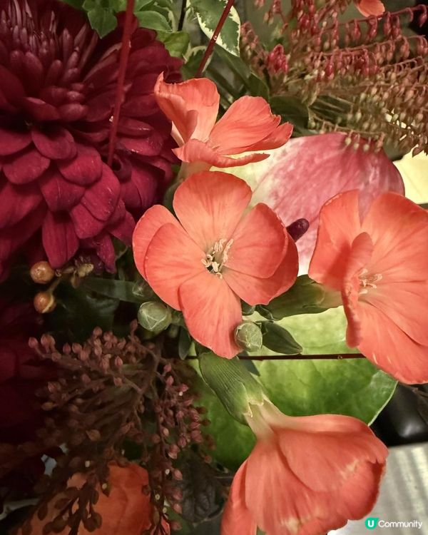 🌺🌺Say Hi to February🌺🌺