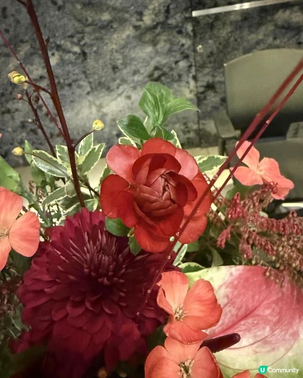 🌺🌺Say Hi to February🌺🌺