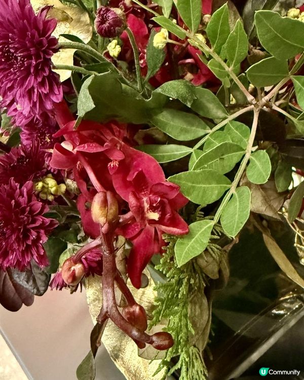 🌺🌺Say Hi to February🌺🌺