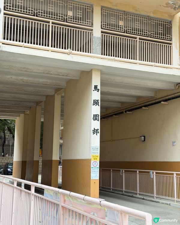 你又見過未呢？懷舊海豚垃圾桶！勾起童年回憶 🐬✨