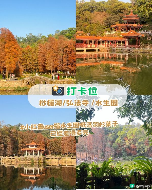 深圳羅湖區5 大個寶藏打卡點📸 高空日落+森林秘境+復古火車