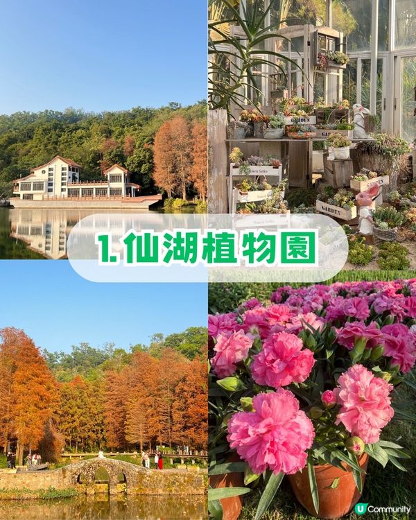 深圳羅湖區5 大個寶藏打卡點📸 高空日落+森林秘境+復古火車