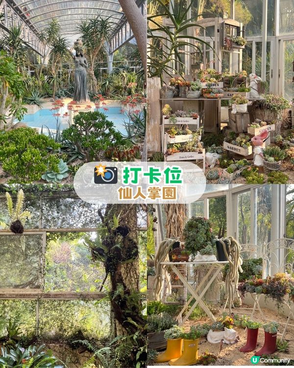 深圳羅湖區5 大個寶藏打卡點📸 高空日落+森林秘境+復古火車