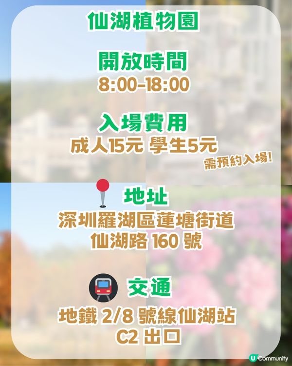 深圳羅湖區5 大個寶藏打卡點📸 高空日落+森林秘境+復古火車