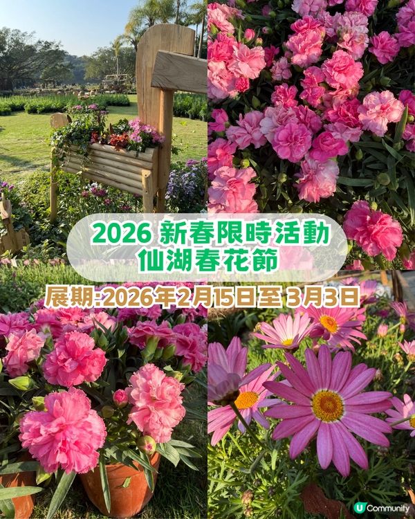 深圳羅湖區5 大個寶藏打卡點📸 高空日落+森林秘境+復古火車