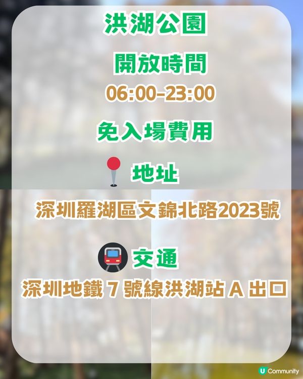 深圳羅湖區5 大個寶藏打卡點📸 高空日落+森林秘境+復古火車