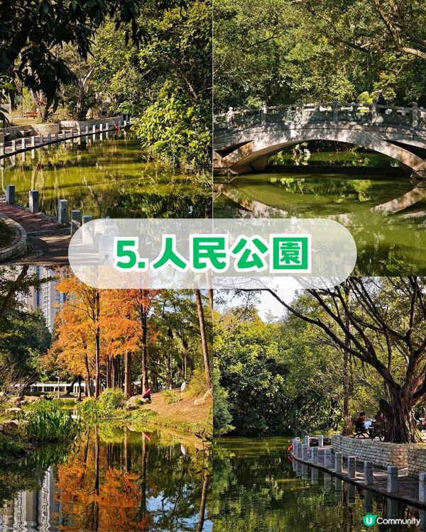 深圳羅湖區5 大個寶藏打卡點📸 高空日落+森林秘境+復古火車