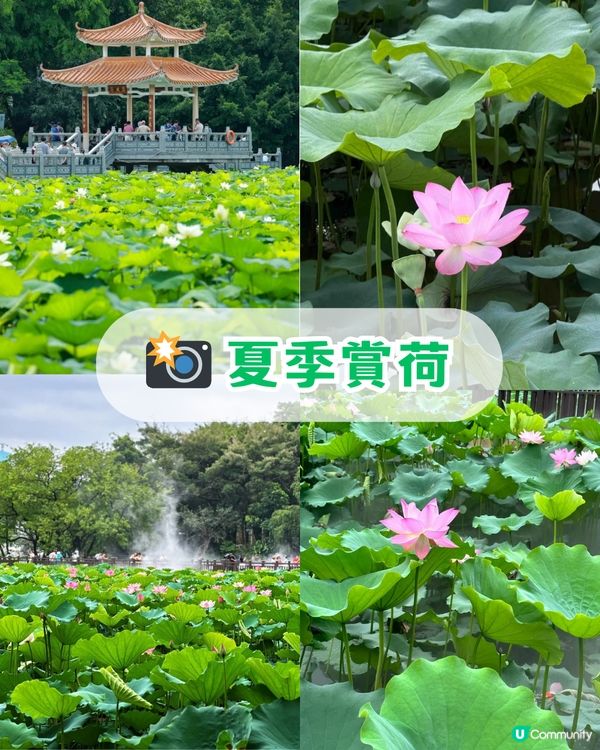 深圳羅湖區5 大個寶藏打卡點📸 高空日落+森林秘境+復古火車