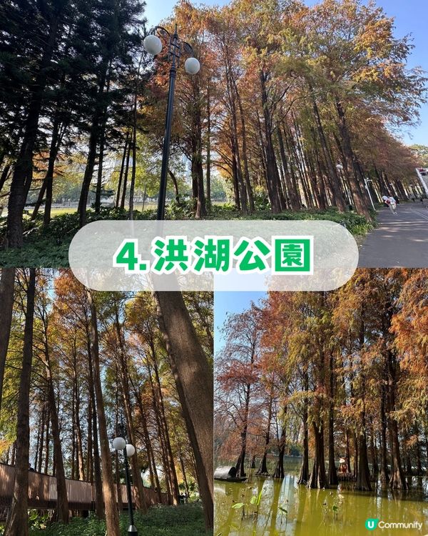 深圳羅湖區5 大個寶藏打卡點📸 高空日落+森林秘境+復古火車
