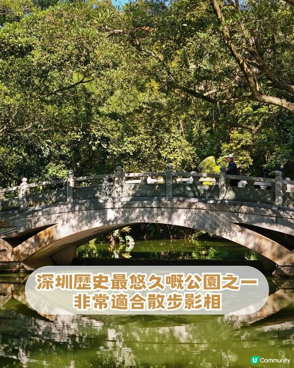 深圳羅湖區5 大個寶藏打卡點📸 高空日落+森林秘境+復古火車