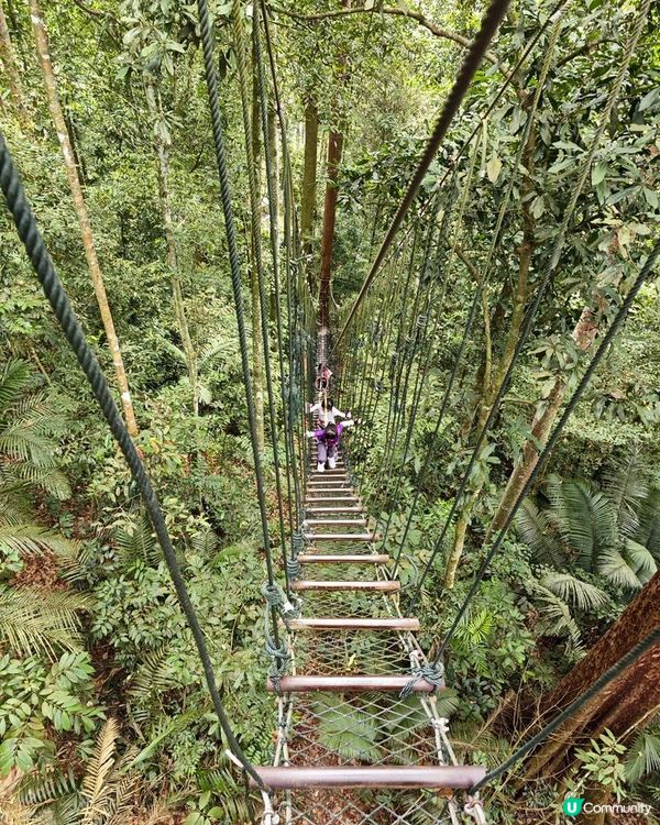 闖遊大馬。馬來西亞吉隆坡檳城親子遊記。Day 6