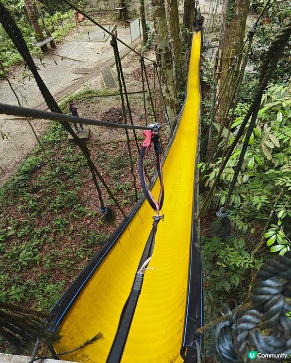 闖遊大馬。馬來西亞吉隆坡檳城親子遊記。Day 6