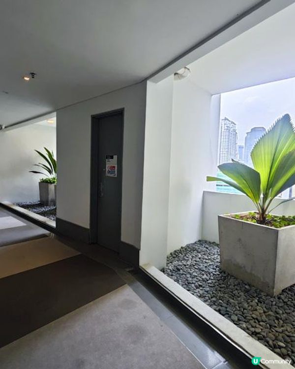 闖遊大馬。馬來西亞吉隆坡檳城親子遊記。Day 6