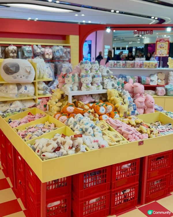 韓國熱爆！圍方快閃店登場！🤩