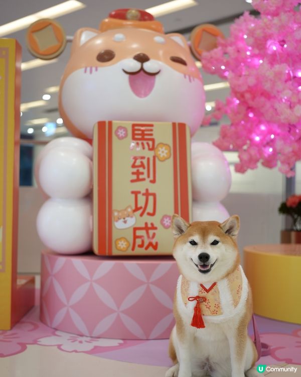 🦊柴運亨通新春樂園🧧