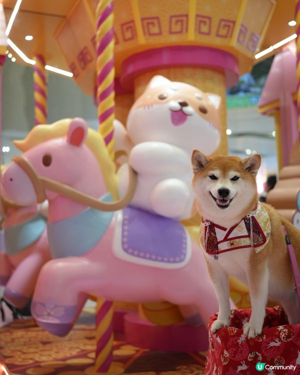 🦊柴運亨通新春樂園🧧