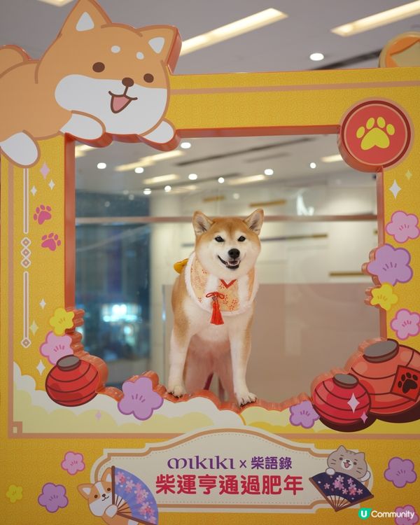 🦊柴運亨通新春樂園🧧