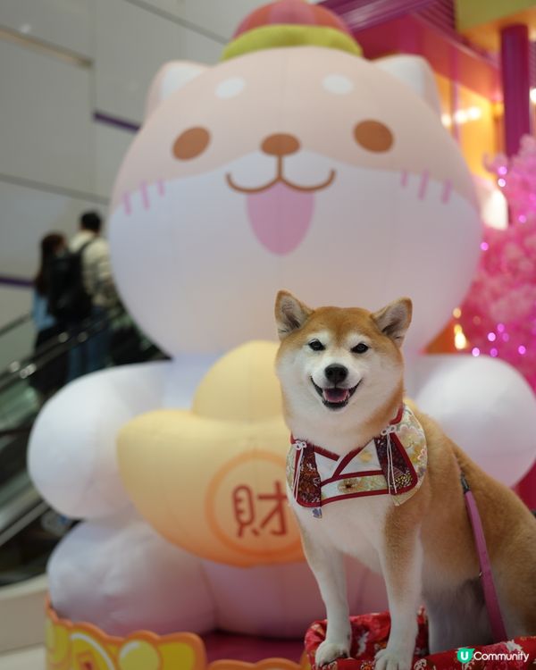 🦊柴運亨通新春樂園🧧