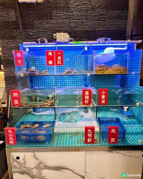 【深圳】海鮮盛宴!椰漿椰子雞+海鮮拼盤，粵港客必訪!