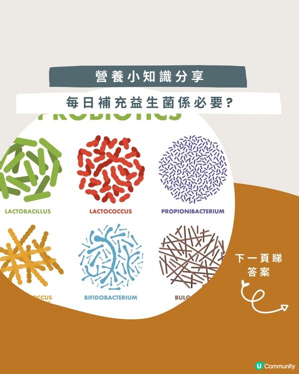 🌿營養小知識 每日補充益生菌係咪必要?