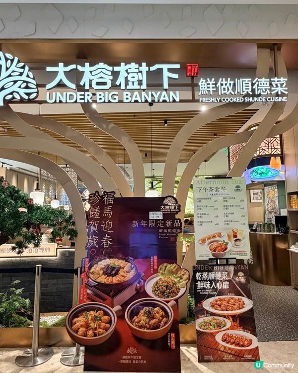 🇭🇰青衣城呢間順德菜，終於唔使走去深圳食