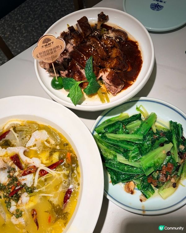 🇭🇰青衣城呢間順德菜，終於唔使走去深圳食