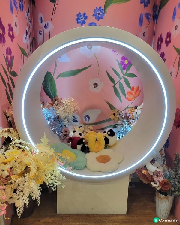 荃灣小清新咖啡室打卡🤤☕️必食開心果心太軟💚