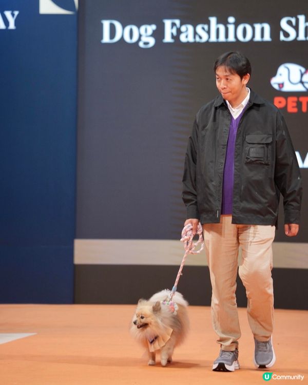 浪琴香港國際馬術盛典