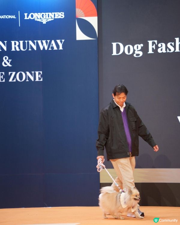 浪琴香港國際馬術盛典