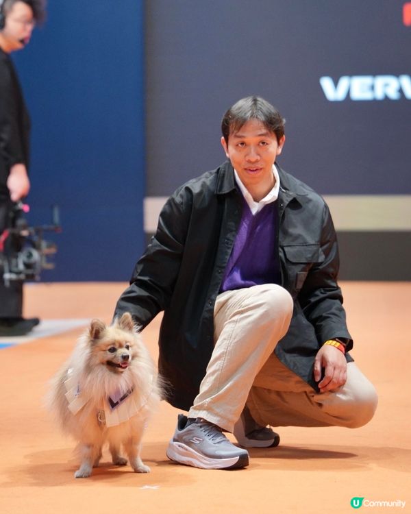 浪琴香港國際馬術盛典